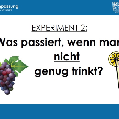 Exp2.jpg